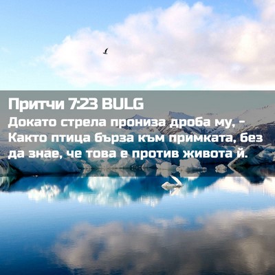 Picture 02 - Притчи 7:23 BULG - Докато стрела прониза - Bible Verse Picture