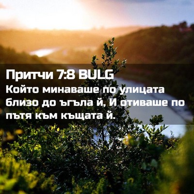 Picture 02 - Притчи 7:8 BULG - Който минаваше по улицата - Bible Verse Picture