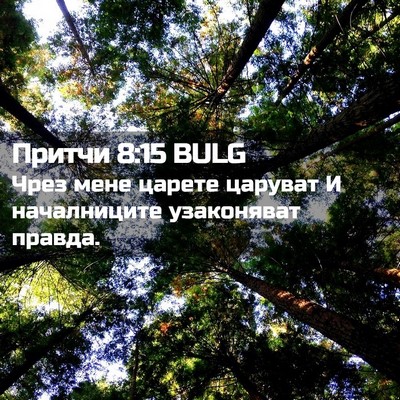 Picture 02 - Притчи 8:15 BULG - Чрез мене царете царуват И - Bible Verse Picture