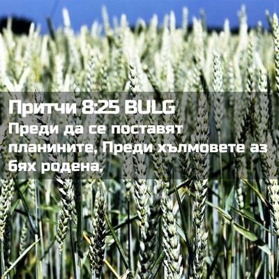 Picture 02 - Притчи 8:25 BULG - Преди да се поставят - Bible Verse Picture