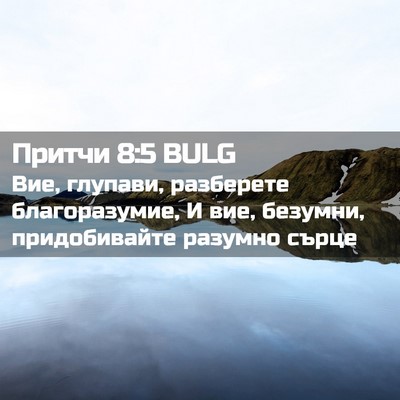 Picture 02 - Притчи 8:5 BULG - Вие, глупави, разберете - Bible Verse Picture