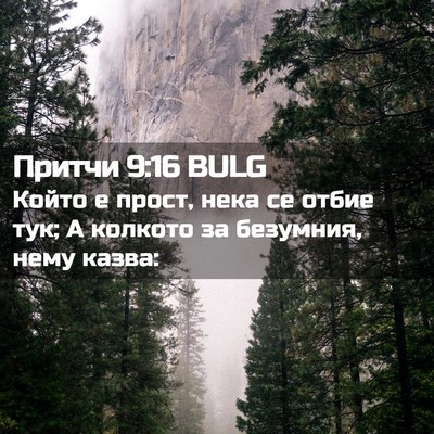 Picture 02 - Притчи 9:16 BULG - Който е прост, нека се - Bible Verse Picture