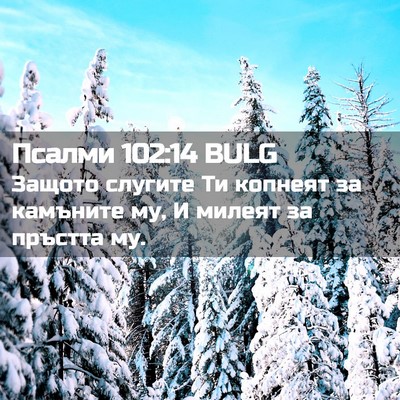 Picture 02 - Псалми 102:14 BULG - Защото слугите Ти копнеят - Bible Verse Picture