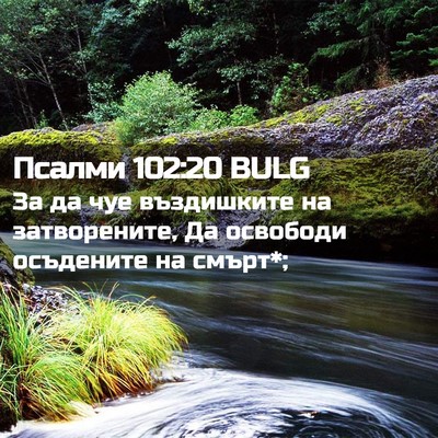 Picture 02 - Псалми 102:20 BULG - За да чуе въздишките на - Bible Verse Picture