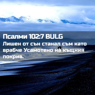Picture 02 - Псалми 102:7 BULG - Лишен от сън станал съм - Bible Verse Picture