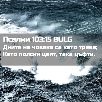 Picture 02 - Псалми 103:15 BULG - Дните на човека са като - Bible Verse Picture