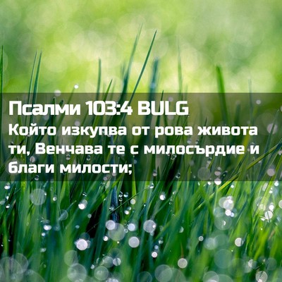 Picture 02 - Псалми 103:4 BULG - Който изкупва от рова - Bible Verse Picture