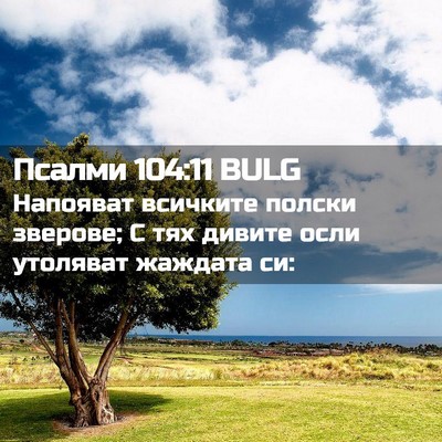 Picture 02 - Псалми 104:11 BULG - Напояват всичките полски - Bible Verse Picture