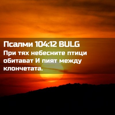 Picture 02 - Псалми 104:12 BULG - При тях небесните птици - Bible Verse Picture