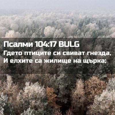 Picture 02 - Псалми 104:17 BULG - Гдето птиците си свиват - Bible Verse Picture