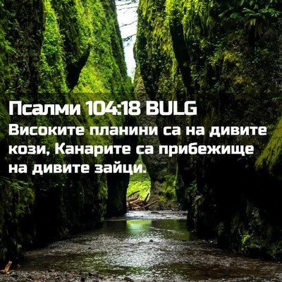 Picture 02 - Псалми 104:18 BULG - Високите планини са на - Bible Verse Picture