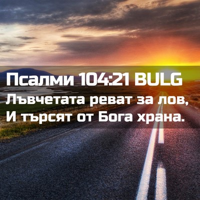 Picture 02 - Псалми 104:21 BULG - Лъвчетата реват за лов, И - Bible Verse Picture