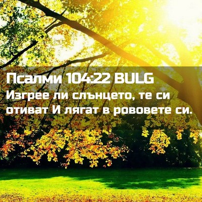 Picture 02 - Псалми 104:22 BULG - Изгрее ли слънцето, те си - Bible Verse Picture