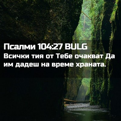 Picture 02 - Псалми 104:27 BULG - Всички тия от Тебе очакват - Bible Verse Picture