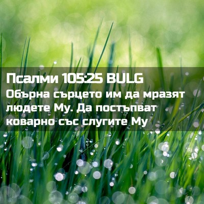 Picture 02 - Псалми 105:25 BULG - Обърна сърцето им да - Bible Verse Picture