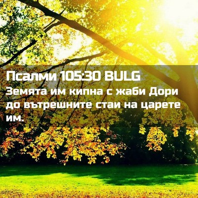 Picture 02 - Псалми 105:30 BULG - Земята им кипна с жаби Дори - Bible Verse Picture