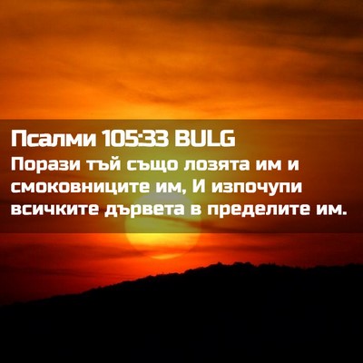 Picture 02 - Псалми 105:33 BULG - Порази тъй също лозята им и - Bible Verse Picture