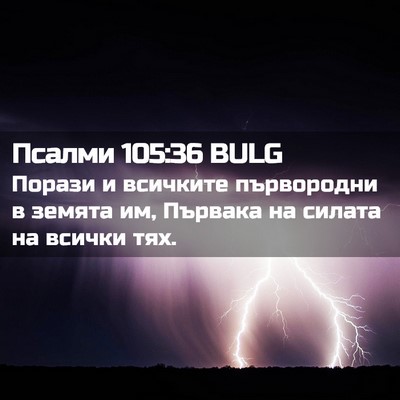 Picture 02 - Псалми 105:36 BULG - Порази и всичките - Bible Verse Picture
