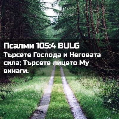 Picture 02 - Псалми 105:4 BULG - Търсете Господа и Неговата - Bible Verse Picture