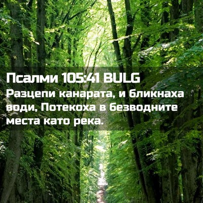Picture 02 - Псалми 105:41 BULG - Разцепи канарата, и - Bible Verse Picture