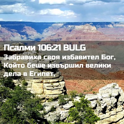 Picture 02 - Псалми 106:21 BULG - Забравиха своя избавител - Bible Verse Picture