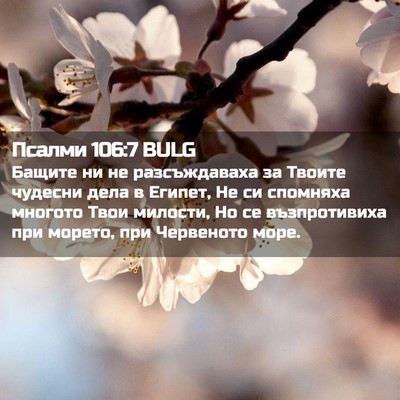 Picture 02 - Псалми 106:7 BULG - Бащите ни не разсъждаваха - Bible Verse Picture