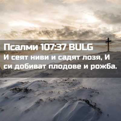 Picture 02 - Псалми 107:37 BULG - И сеят ниви и садят лозя, И - Bible Verse Picture
