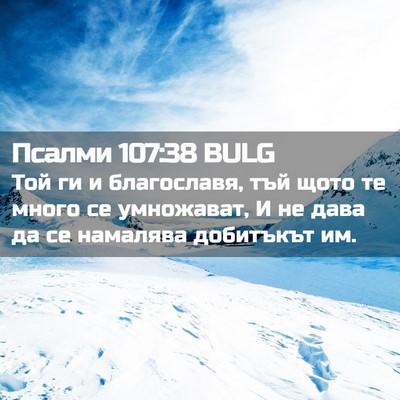 Picture 02 - Псалми 107:38 BULG - Той ги и благославя, тъй - Bible Verse Picture