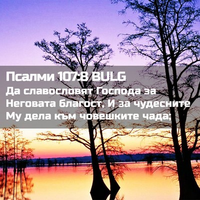 Picture 02 - Псалми 107:8 BULG - Да славословят Господа за - Bible Verse Picture