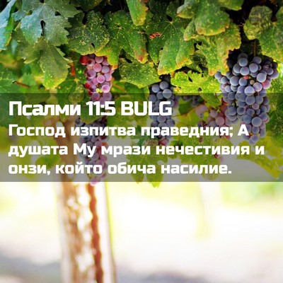 Picture 02 - Псалми 11:5 BULG - Господ изпитва праведния; - Bible Verse Picture