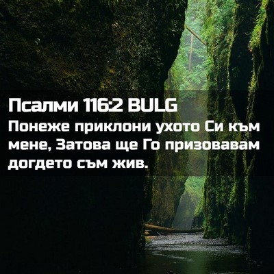 Picture 02 - Псалми 116:2 BULG - Понеже приклони ухото Си - Bible Verse Picture