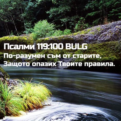 Picture 02 - Псалми 119:100 BULG - По-разумен съм от старите, - Bible Verse Picture
