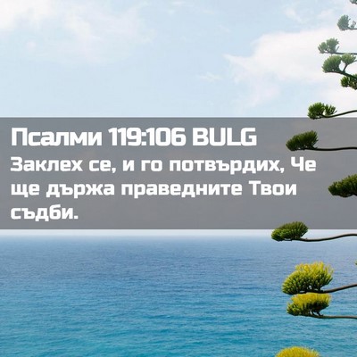 Picture 02 - Псалми 119:106 BULG - Заклех се, и го потвърдих, - Bible Verse Picture
