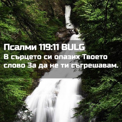 Picture 02 - Псалми 119:11 BULG - В сърцето си опазих Твоето - Bible Verse Picture