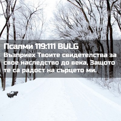 Picture 02 - Псалми 119:111 BULG - Възприех Твоите - Bible Verse Picture