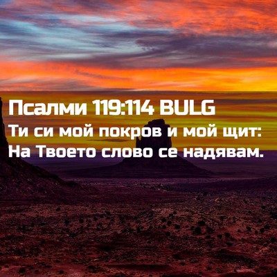 Picture 02 - Псалми 119:114 BULG - Ти си мой покров и мой щит: - Bible Verse Picture