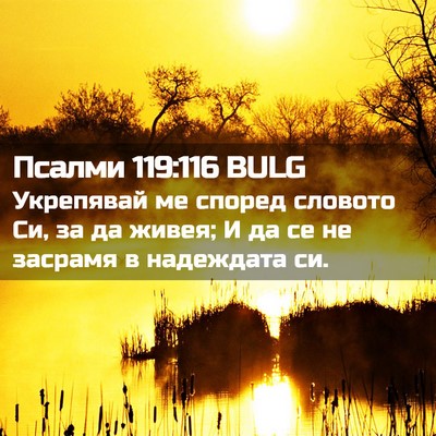 Picture 02 - Псалми 119:116 BULG - Укрепявай ме според - Bible Verse Picture