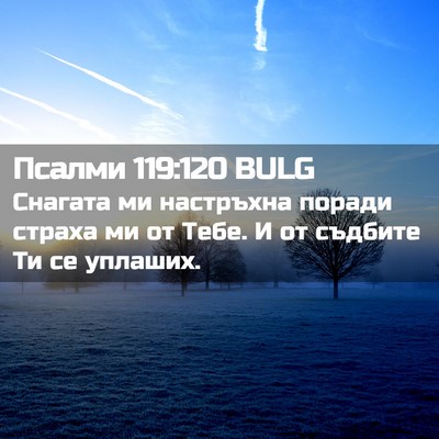 Picture 02 - Псалми 119:120 BULG - Снагата ми настръхна - Bible Verse Picture