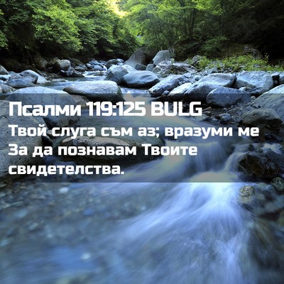 Picture 02 - Псалми 119:125 BULG - Твой слуга съм аз; вразуми - Bible Verse Picture