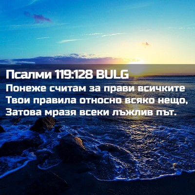 Picture 02 - Псалми 119:128 BULG - Понеже считам за прави - Bible Verse Picture