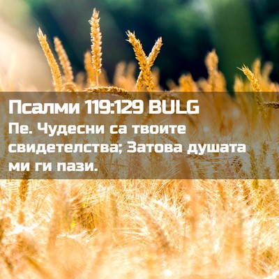 Picture 02 - Псалми 119:129 BULG - Пе. Чудесни са твоите - Bible Verse Picture