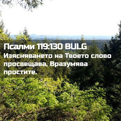 Picture 02 - Псалми 119:130 BULG - Изясняването на Твоето - Bible Verse Picture