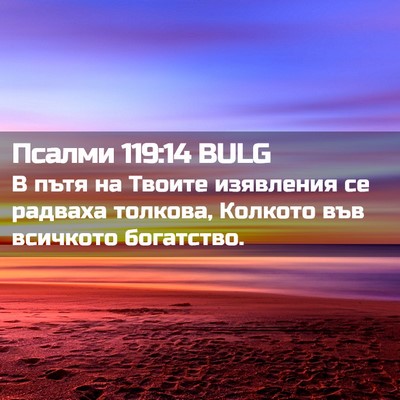 Picture 02 - Псалми 119:14 BULG - В пътя на Твоите изявления - Bible Verse Picture