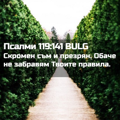 Picture 02 - Псалми 119:141 BULG - Скромен съм и презрян, - Bible Verse Picture