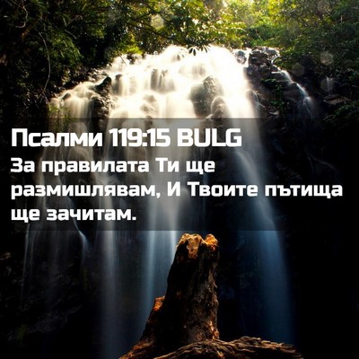 Picture 02 - Псалми 119:15 BULG - За правилата Ти ще - Bible Verse Picture