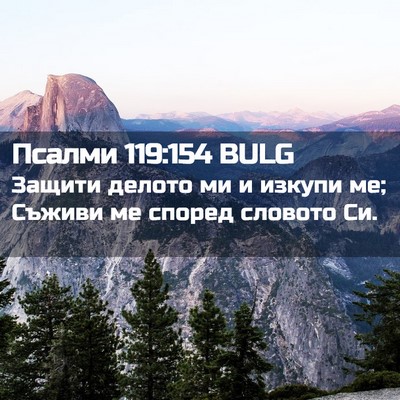 Picture 02 - Псалми 119:154 BULG - Защити делото ми и изкупи - Bible Verse Picture