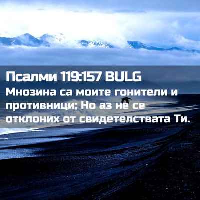 Picture 02 - Псалми 119:157 BULG - Мнозина са моите гонители - Bible Verse Picture