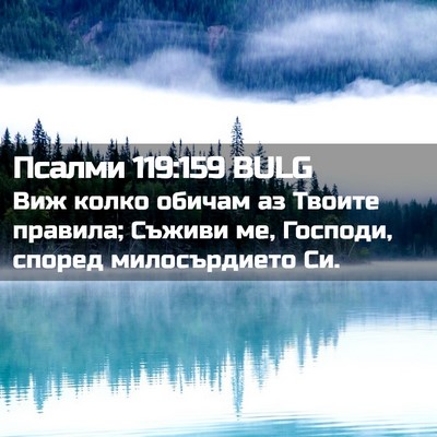 Picture 02 - Псалми 119:159 BULG - Виж колко обичам аз Твоите - Bible Verse Picture