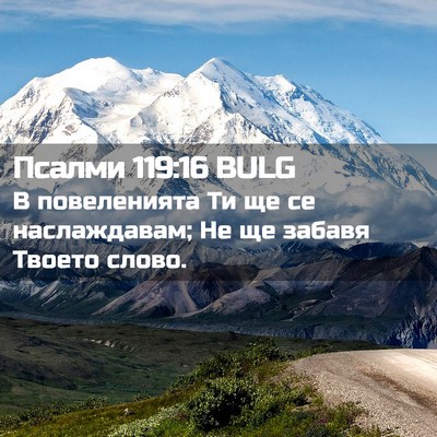 Picture 02 - Псалми 119:16 BULG - В повеленията Ти ще се - Bible Verse Picture