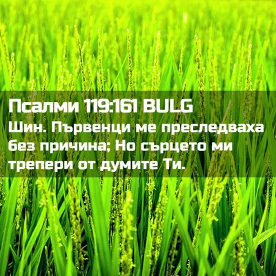 Picture 02 - Псалми 119:161 BULG - Шин. Първенци ме - Bible Verse Picture